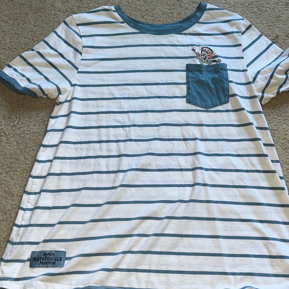Gently used Ratatouille shirt